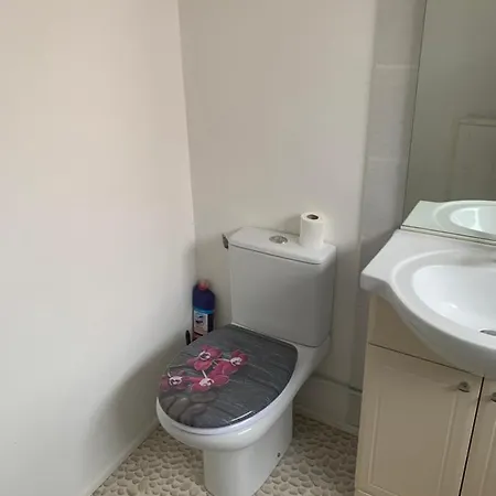 Appartement T1bis Avec Jardin à Gare